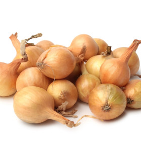 BIO čebula