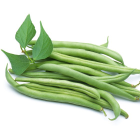 BIO fižol
