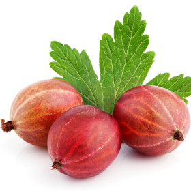 Kosmulja