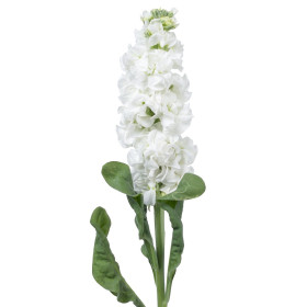 Poletna fiala