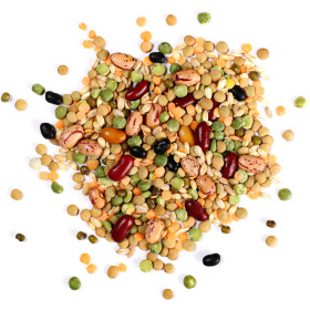 Nizke sorte stročnic
