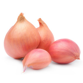 Ozimna čebula