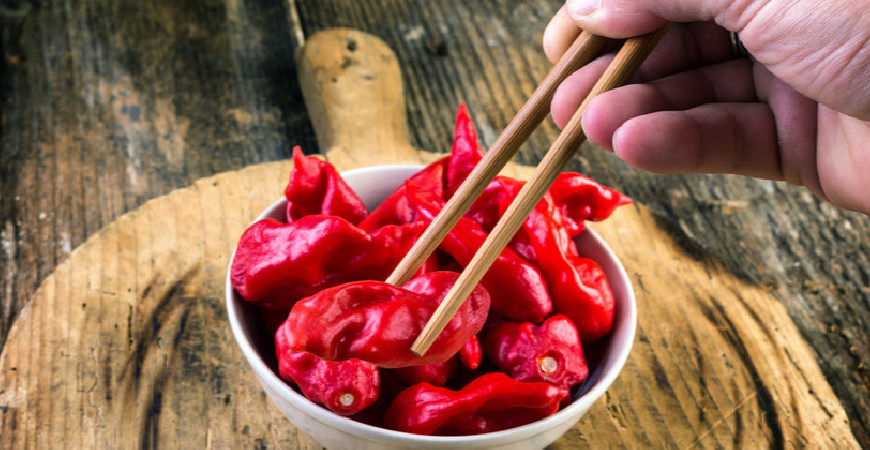 Bhut jolokia chilli – Chilli démonů